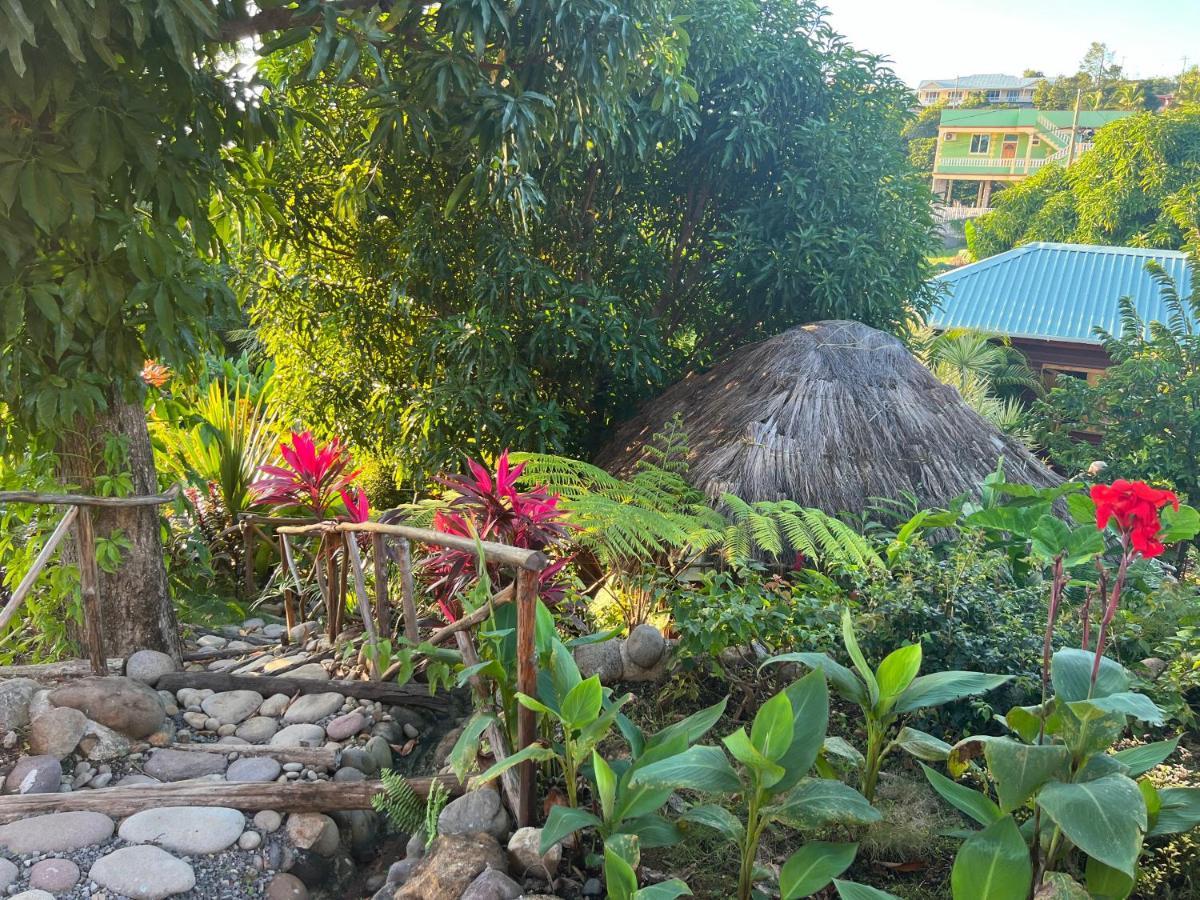 Orchid Resort Ltd Guillet 外观 照片